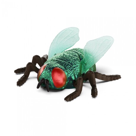 Mosca trepadora Mosca trepadora