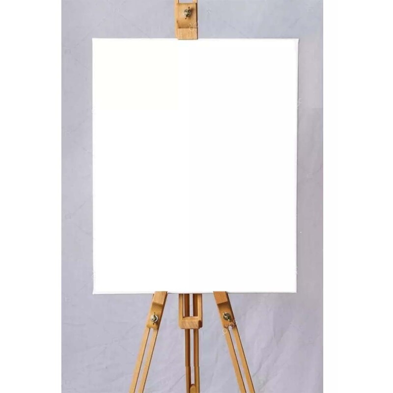Set x5 Lienzos de 30x40 BLANCO