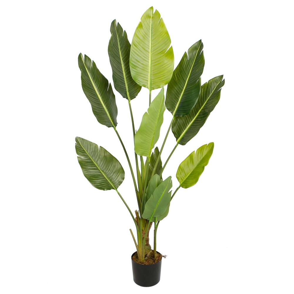 STRELITZIA ARTIFICIAL VERDE ARTIFICIAL Y8480-11-11-3PS