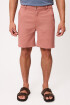 BERMUDA URSUS POLANCO Coral