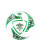 PELOTA NEO SWERVE N°3 Umbro 09v
