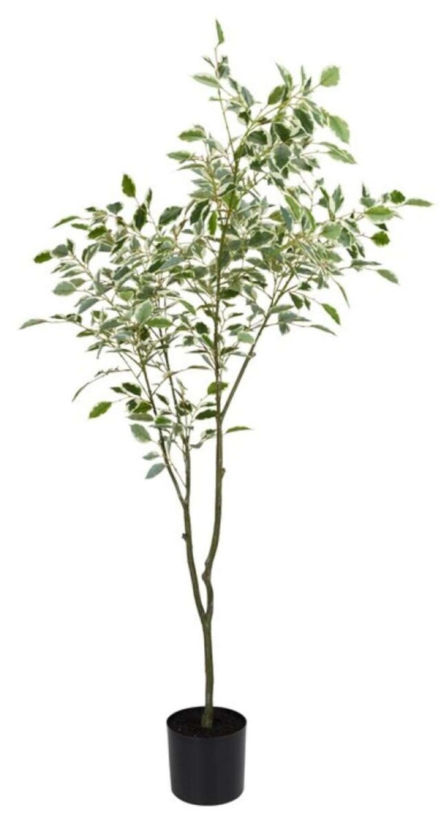 Planta Artificial Gunnulf 150 Cm - Con Maceta 