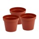 Set x3 Maceta 3 lts TERRACOTA