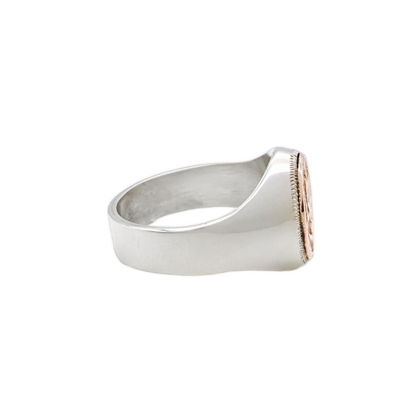 Anillo Profesión Nurse-Plata y Oro-Sin Piedra-AP5008 - Adulto - Sinpiedra