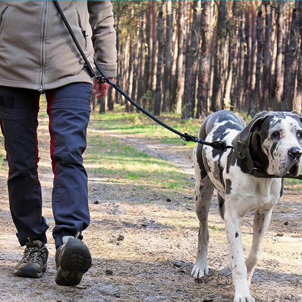 Cuerda Correa Para Perro Multifuncion 200 cm Ajustable Cuerda Correa Para Perro Multifuncion 200 cm Ajustable