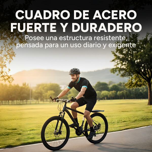 Bicicleta Kajla Montaña Mtb Rod 26 Frenos De Disco 21 Veloc Color Gris