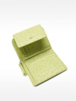 Cartera Con Grabado Animal verde