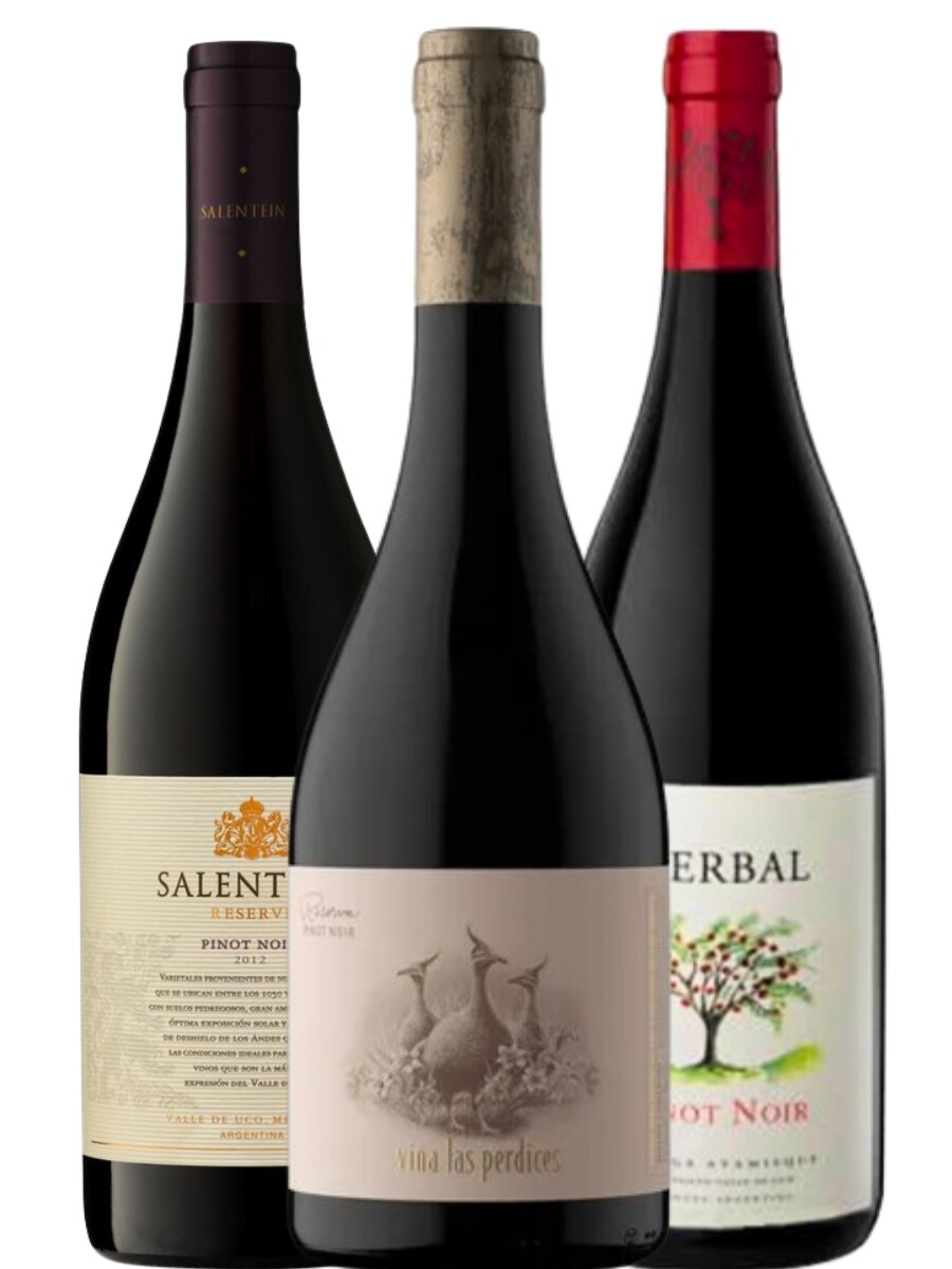 Pack Pinot Noir Ar IV 