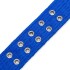 Collar Hebilla Nylon Perros Raza Grande 65 cm Ajustable Variante Color Azul