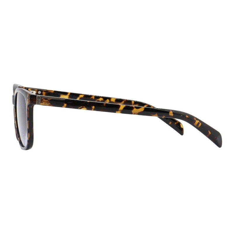 Lentes de Sol Chilli Beans Anitta Animal Print Azul