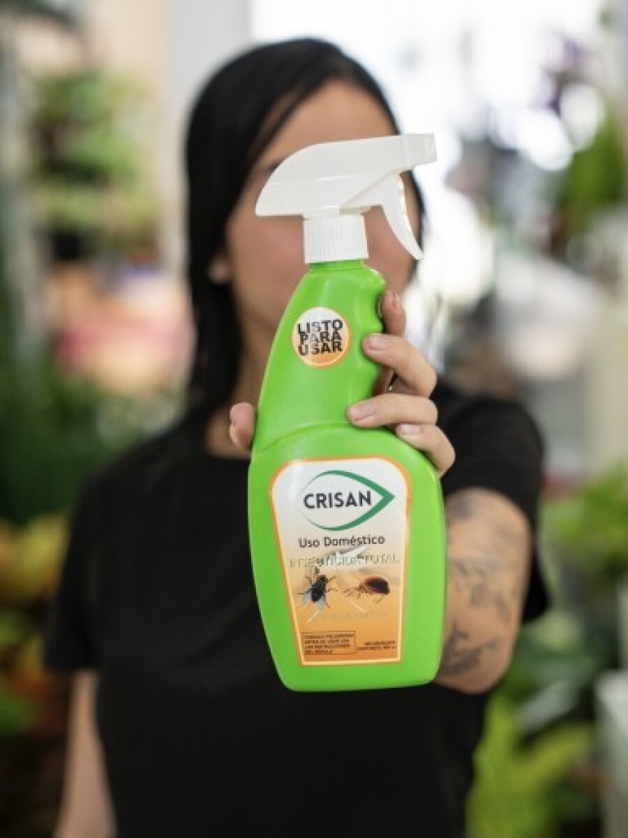 INSECTICIDA INSECTICIDA