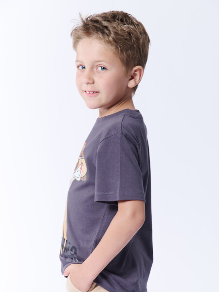 Remera Algodón Timon Gris