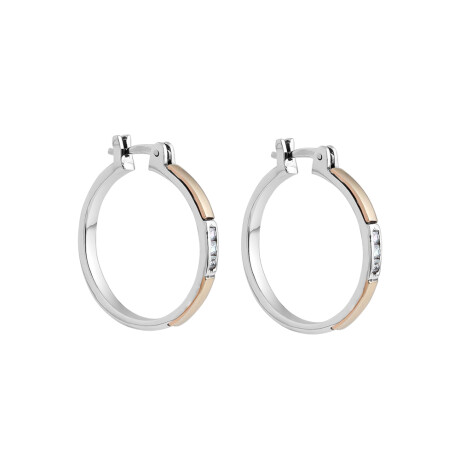 Aros Daphne - Plata y Oro Aros Daphne - Plata y Oro