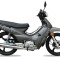 MOTO BACCIO PX 125F GRIS
