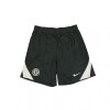 NIKE CHELSEA FC STRIKE SHORT Outdoor Green