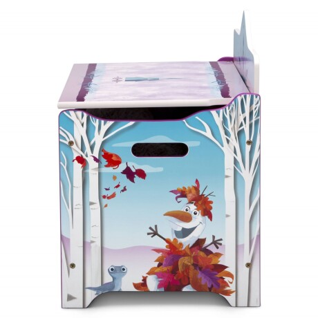 Caja para Juguetes Frozen Disney Deluxe 001