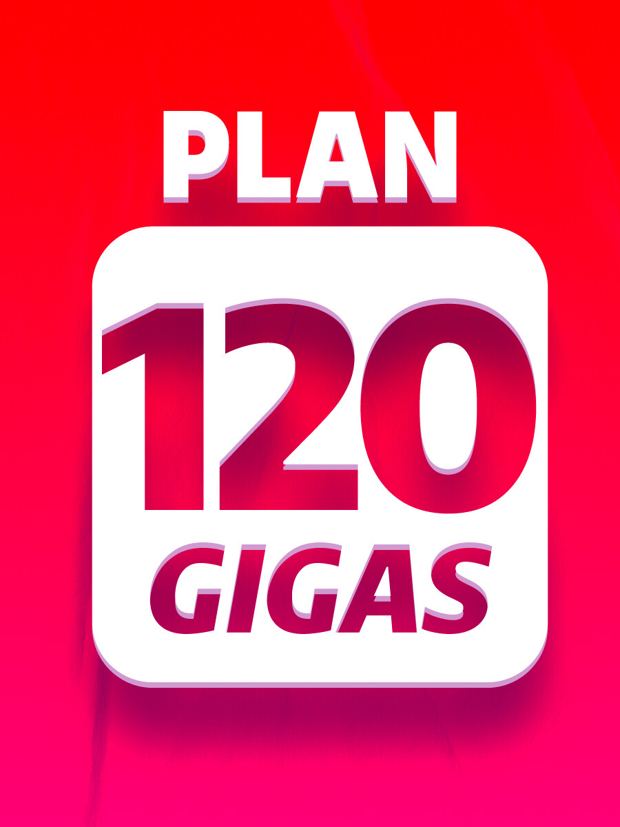 Plan Control 120 Gigas 