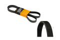 6PK1560 Correa de Accesorios Continental Citroen 6PK1560 Correa de Accesorios Continental Citroen