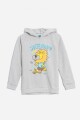 Buzo Skateboard GRIS MELANGE