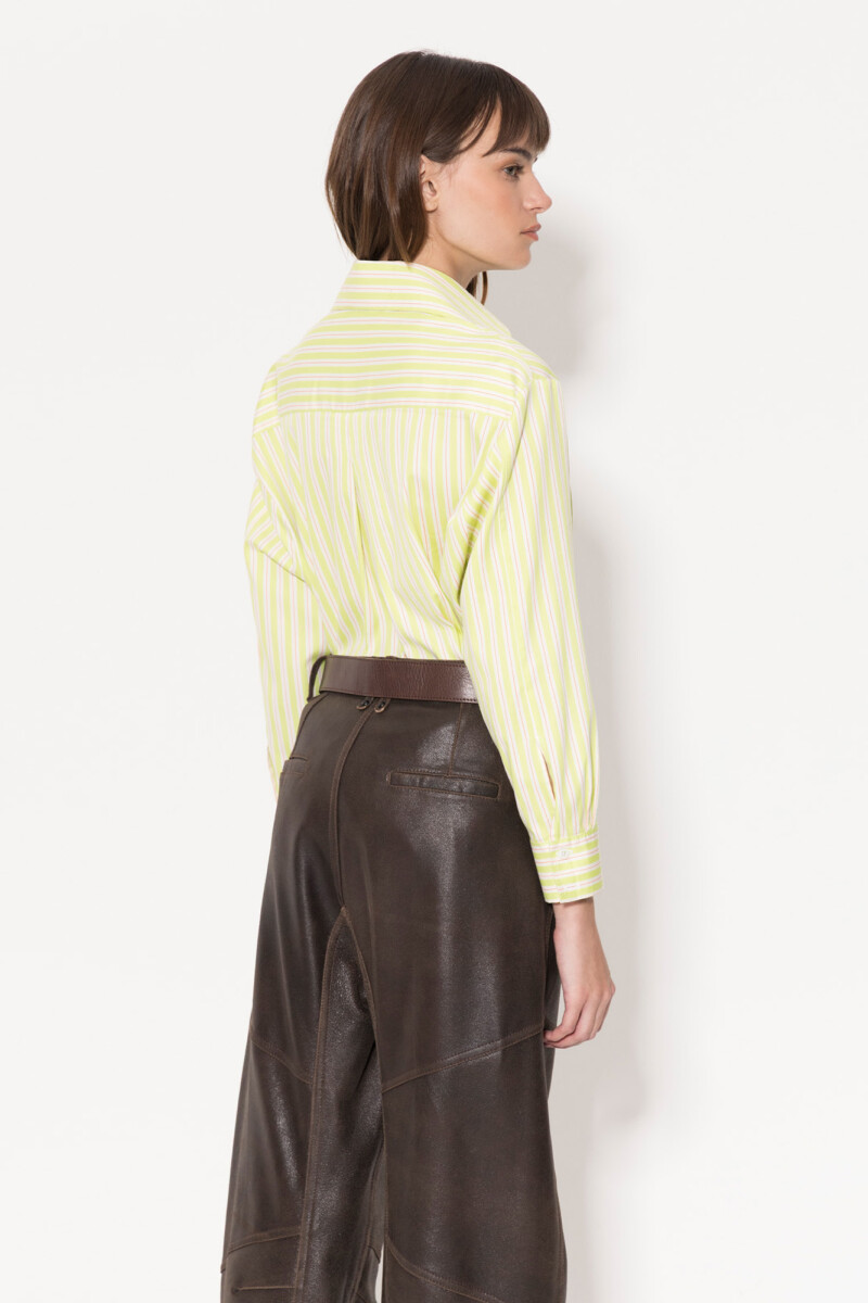 CAMISA MOSCA Verde