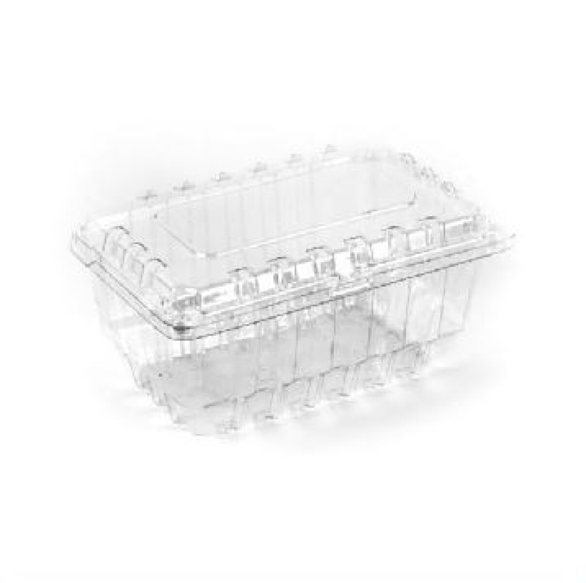 BLISTER PET CON VENTILACION PARA FRUTAS 1000 GRS 19 X 11 X 12,2cm 