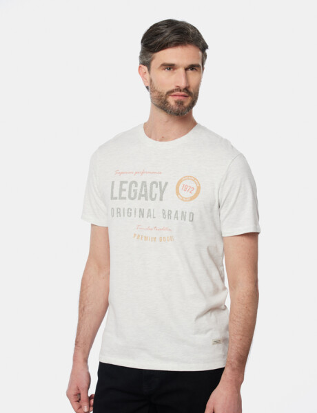 REMERA ESTAMPADA Gris