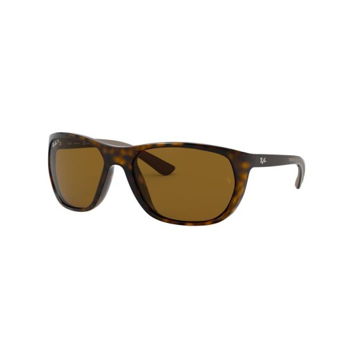 Ray Ban Rb4307 710/83