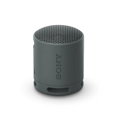 Parlante Inalámbrico Portatil Sony SRS-XB100 Negro