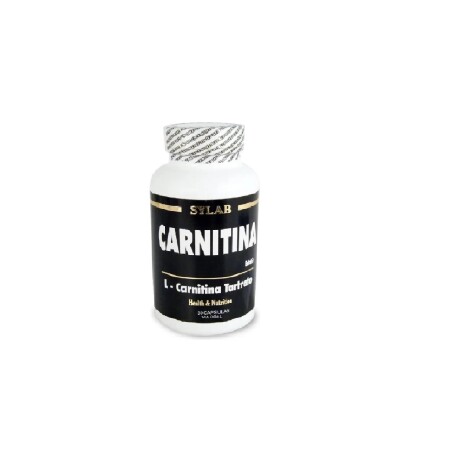 CARNITINA SYLAB PLUS B5 60 CAPS CARNITINA SYLAB PLUS B5 60 CAPS