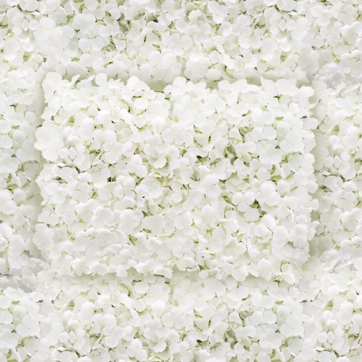 Panel de Flores Blancas 