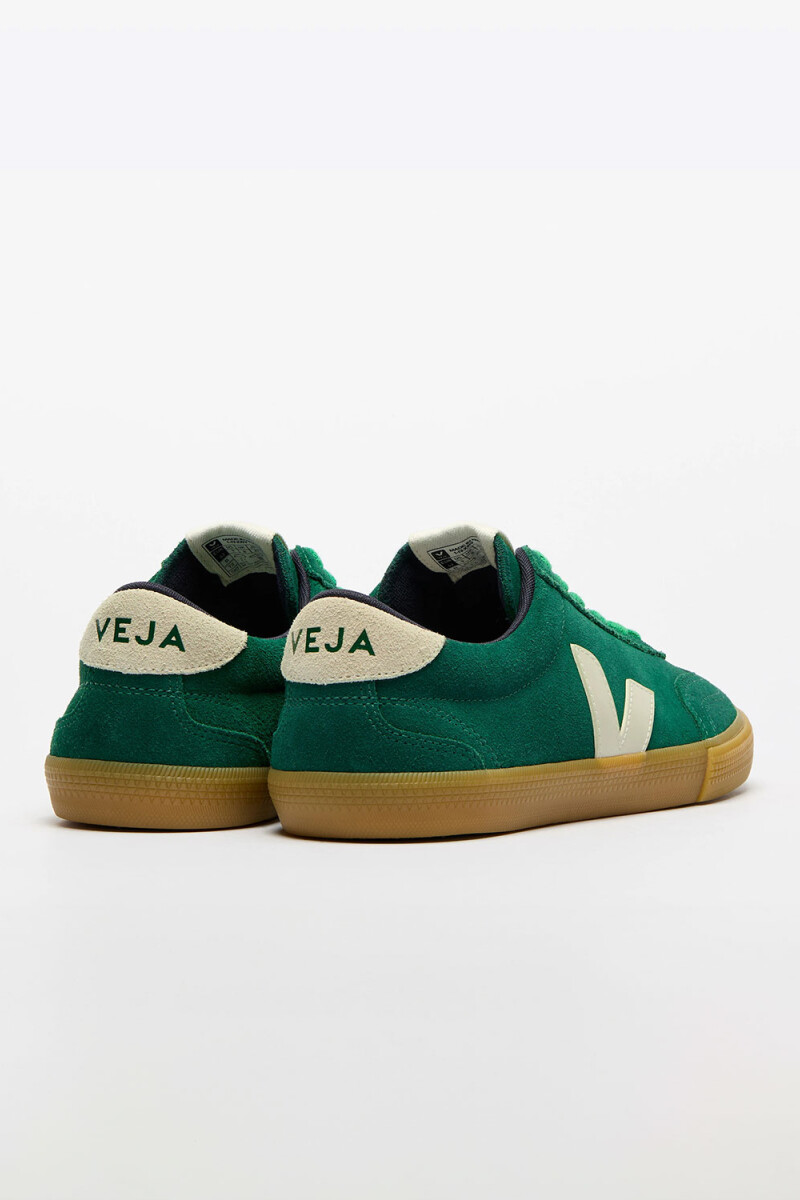ZAPATILLA VOLLEY Verde
