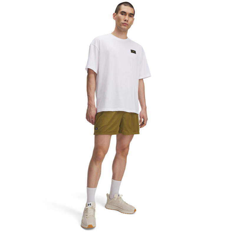 UA Icon Mesh Shorts-GRN GRN-320