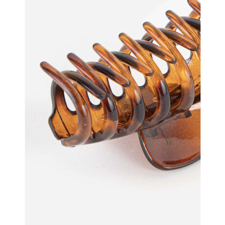 Broche Classic Marron Carey