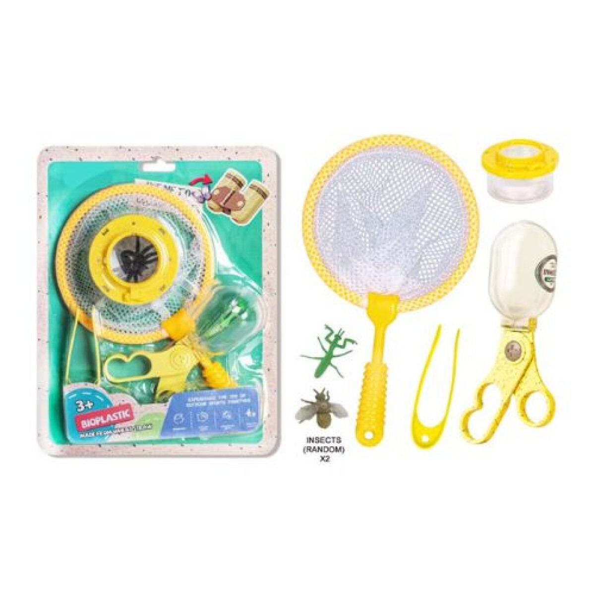Kit Para Observar Insectos 