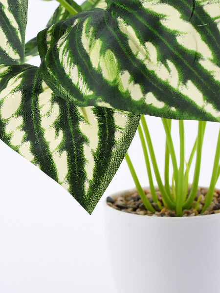 PLANTA CON MACETA VERDE