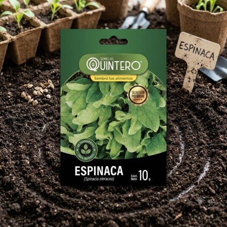 SEMILLAS DE ESPINACA GIGANTE DE INVIERNO 10G SEMILLAS DE ESPINACA GIGANTE DE INVIERNO 10G