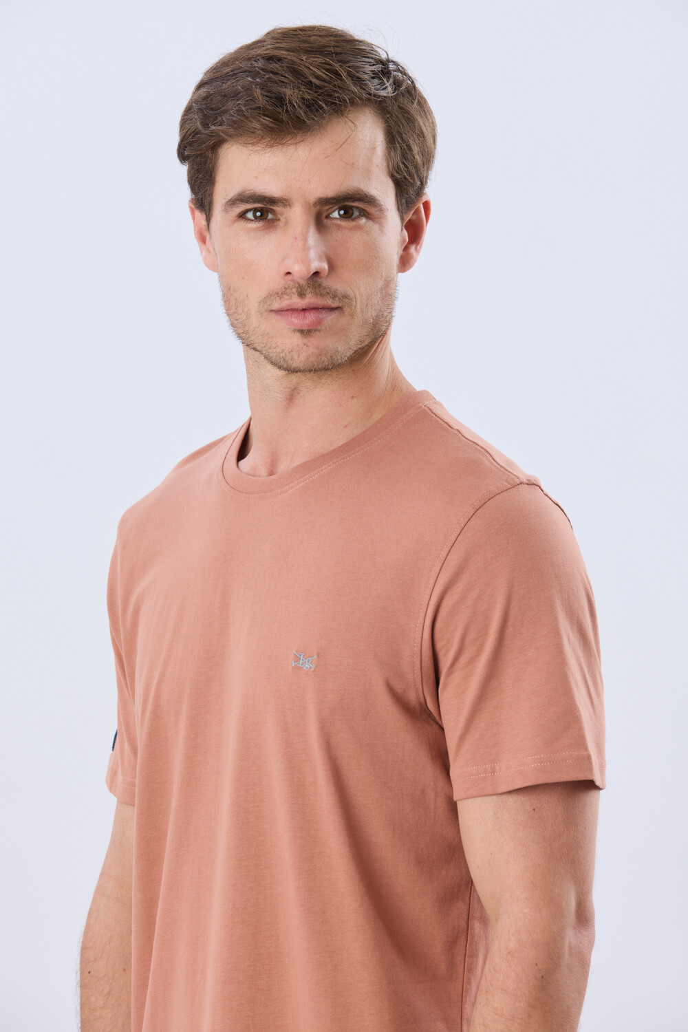 REMERA BÁSICA DE ALGODÓN Terracota