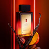 Antonio Banderas The Secret Privé Eau de Parfum Edición Limitada 100ml - Masculino