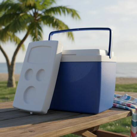 Conservadora Térmica De 34 Litros Mor Playa Camping Viajes Azul