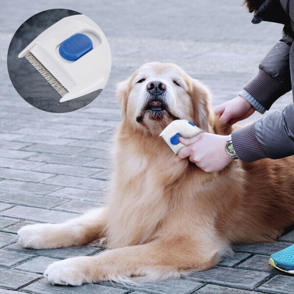 Cepillo Eléctrico Mascotas Mata Pulgas Gatos Perros Pilas Cepillo Eléctrico Mascotas Mata Pulgas Gatos Perros Pilas