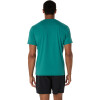 Polo Training Graphic Tee Hombre Rainy Lake