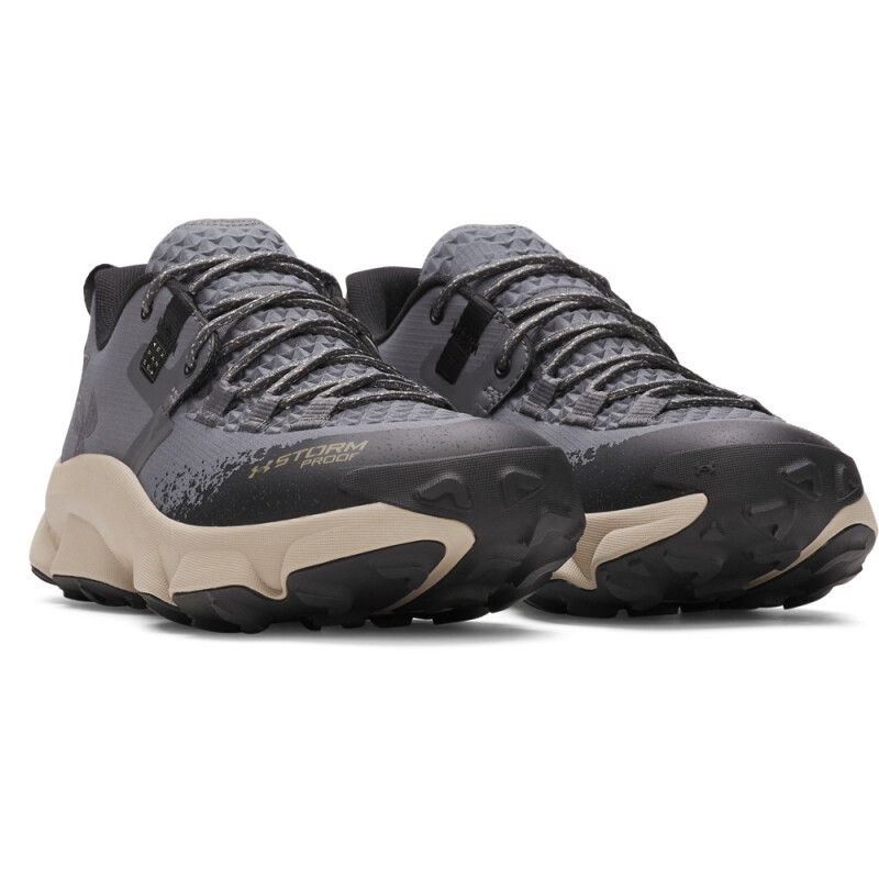 UA Charged Expanse Low WP-GRN GRY-025