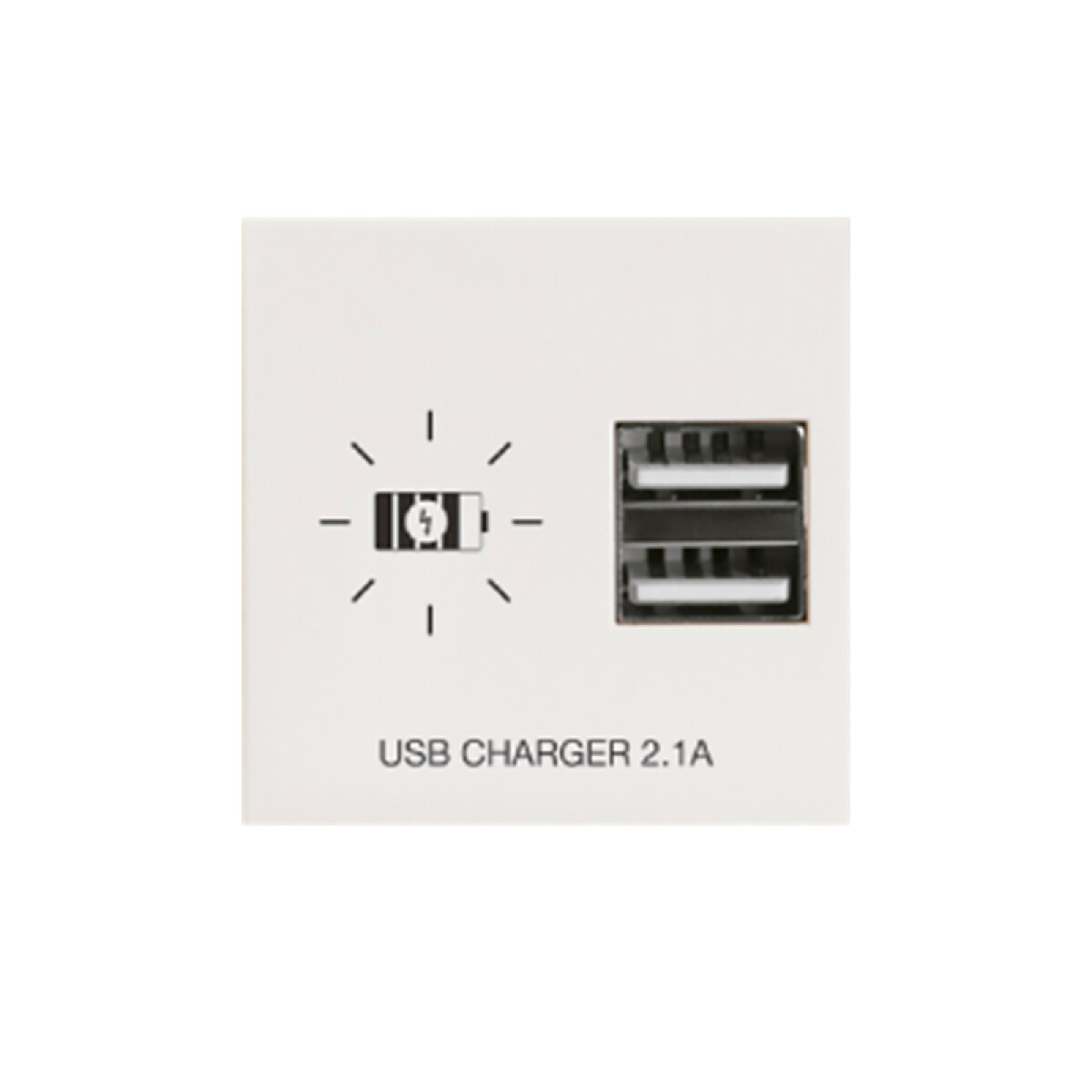 Módulo cargador p/2 USB 2,1A Presta blanco - C51532 
