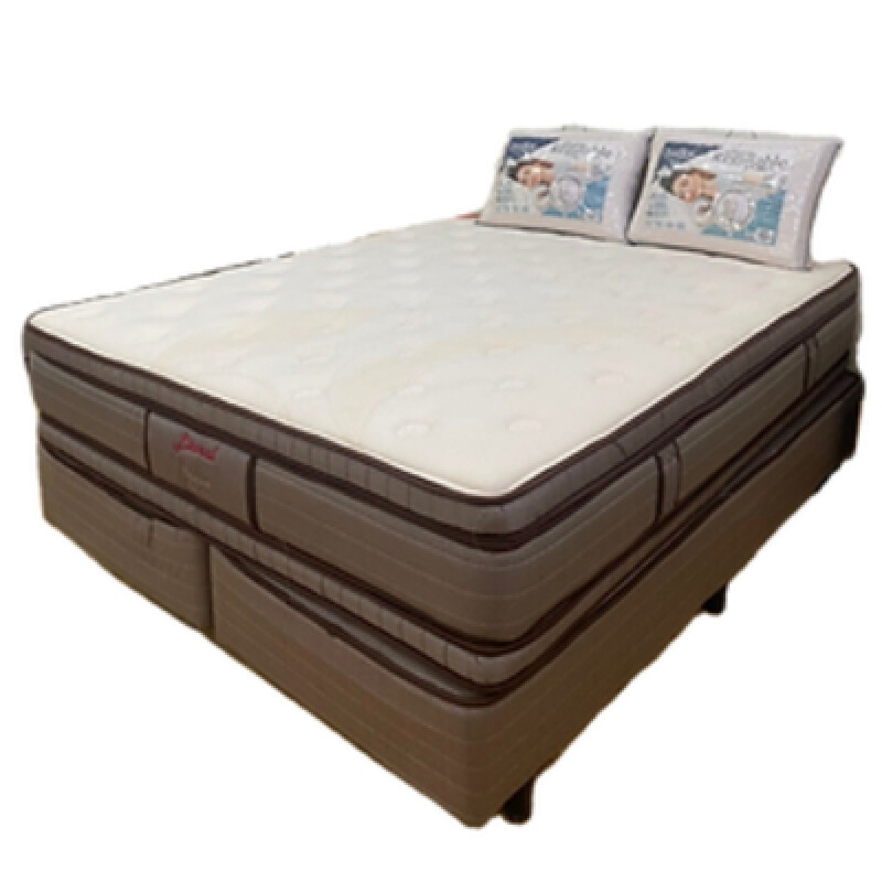 Sommier Premium Doble Euro Top Queen Sommier Premium Doble Euro Top Queen