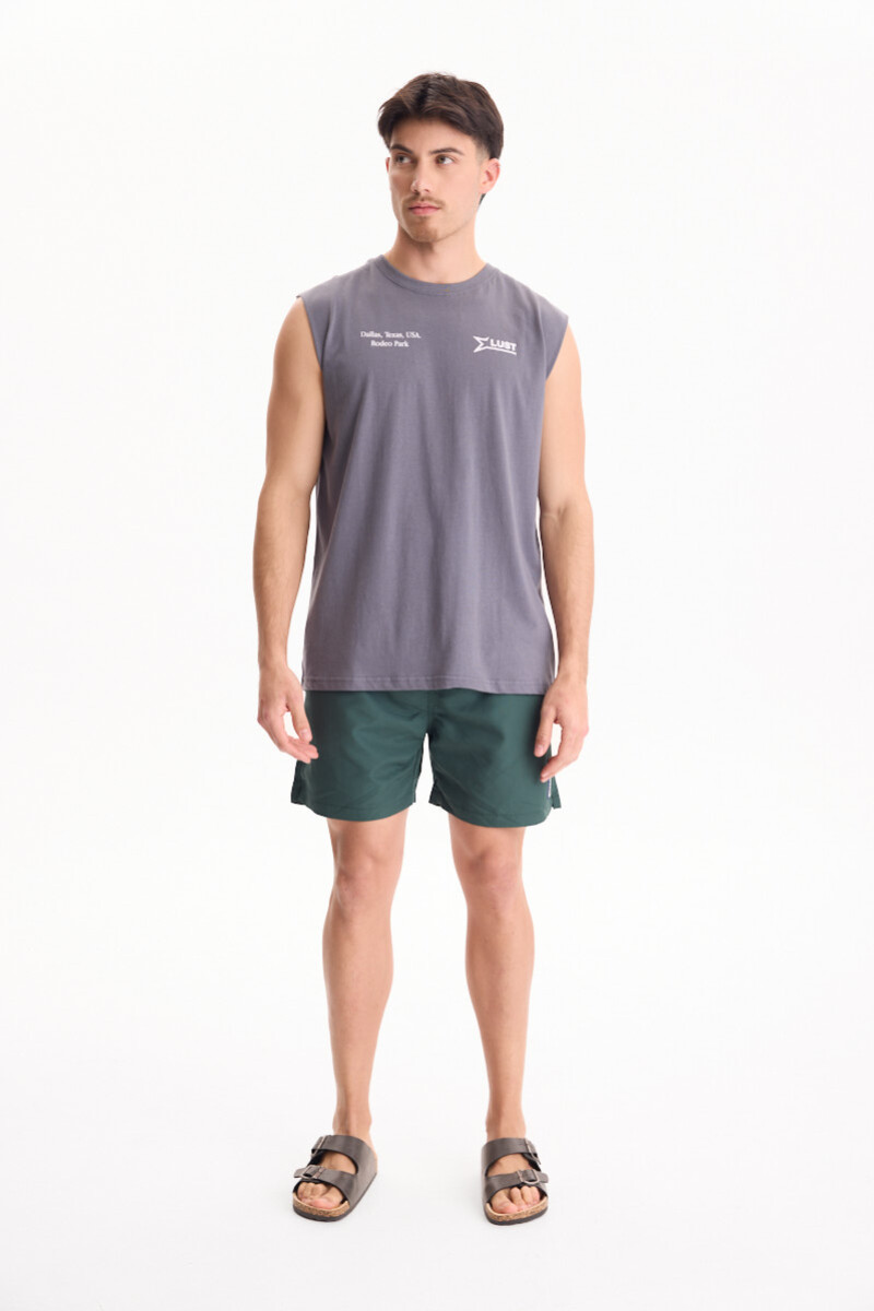 Remera Texas Gris