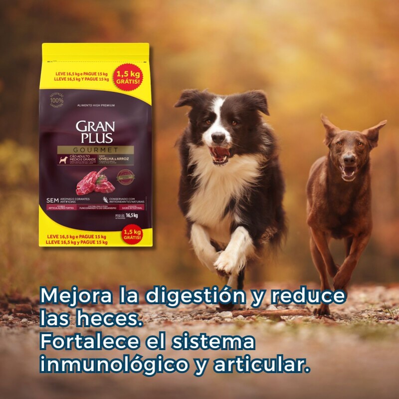 GRAN PLUS GOURMET AD. RAZA MEDIANO GRANDE CORDERO 15 + 1.5 KGS GRAN PLUS GOURMET AD. RAZA MEDIANO GRANDE CORDERO 15 + 1.5 KGS
