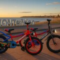 Bicicleta Fly Rodado 16 Rueditas Timbre Y Luz Rojo
