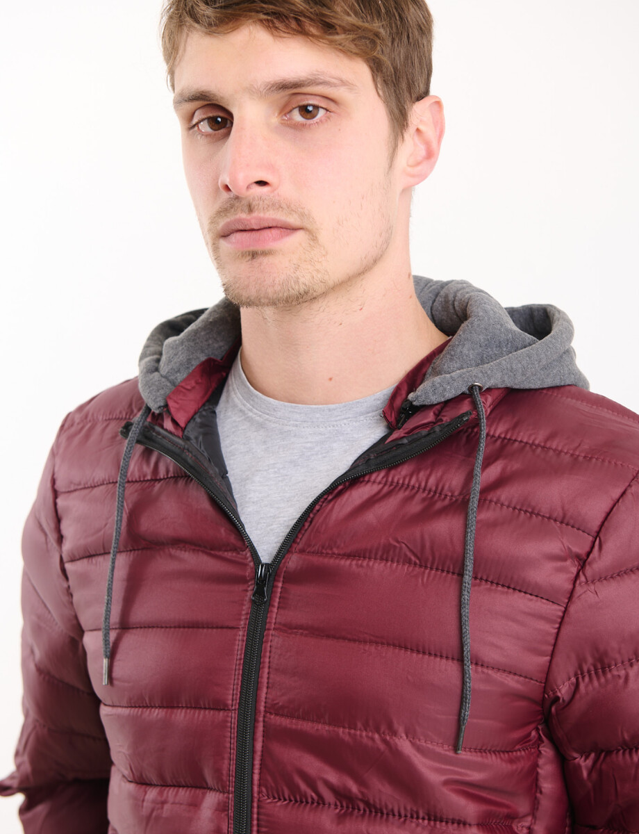 300210 CAMPERA HARRINGTON URBAN Bordo