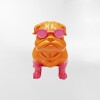 DECORACION FASHION DOG Naranja - Medium