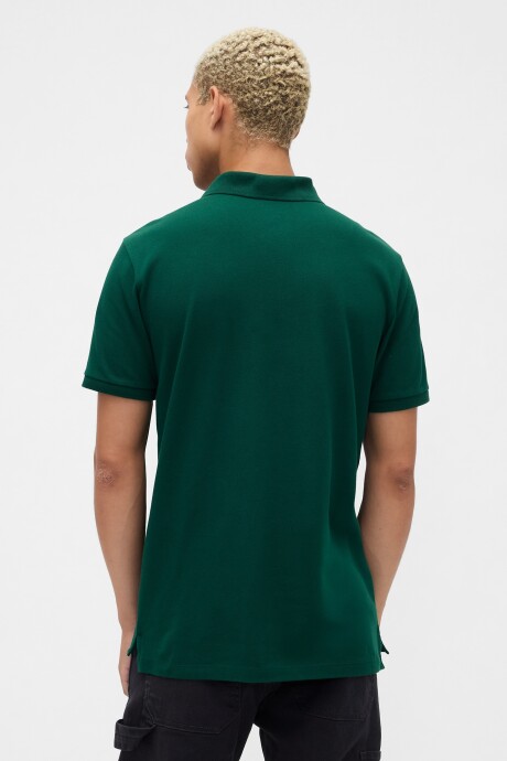 Polo Oso Brannan Hombre Evergreen Glamour